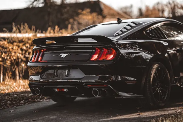 올림푸스벳 카지노 안드로이드/iOS 앱